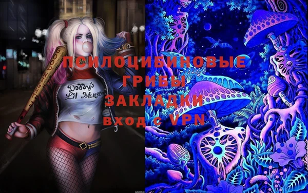 2c-b Алексеевка