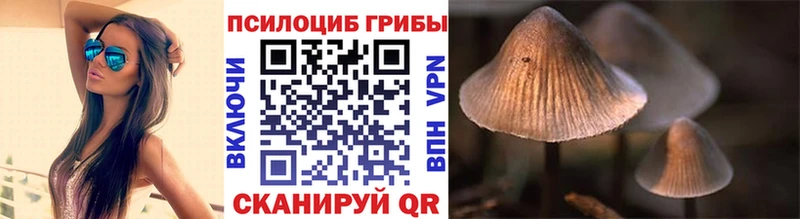 Псилоцибиновые грибы прущие грибы  darknet клад  Мытищи 