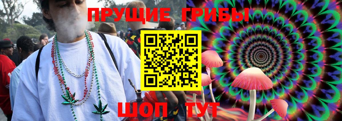 Галлюциногенные грибы Psilocybe  купить наркотик  Мытищи  Вход с VPN 