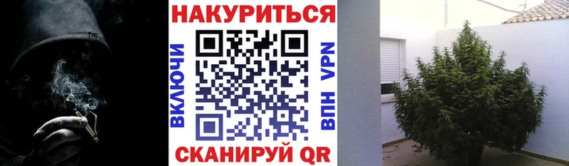 Шишки марихуана OG Kush  купить наркотик  Мытищи 